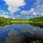 2025-07-01 神仙 (共和町) 10/29/22  ※(2)