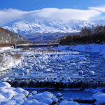 2026-01-02 十勝岳 (美瑛町) 1/11/24 ※(2)