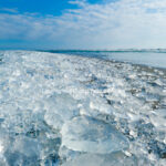 2026-03-04 ジュエリーアイス (浦幌町) 1/21/25 ※(2)