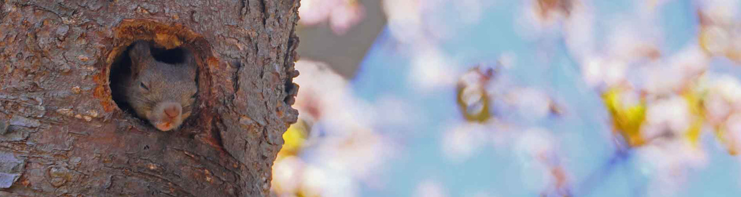 デジタル北海道の写真