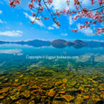 026-05-04 洞爺湖 (壮瞥町) 5/05/25 ※(2)